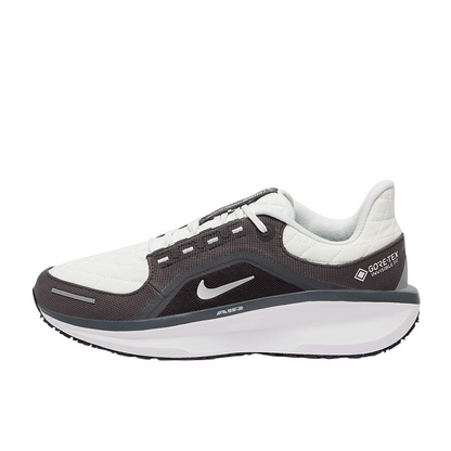 Nike Running Shoes | Nike Winflo 11 GORE-TEX Anthracite/Metallic Silver