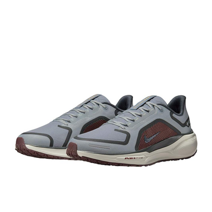 Nike Running Shoes | Nike Pegasus 41 GORE-TEX Light Pumice/Ashen Slate