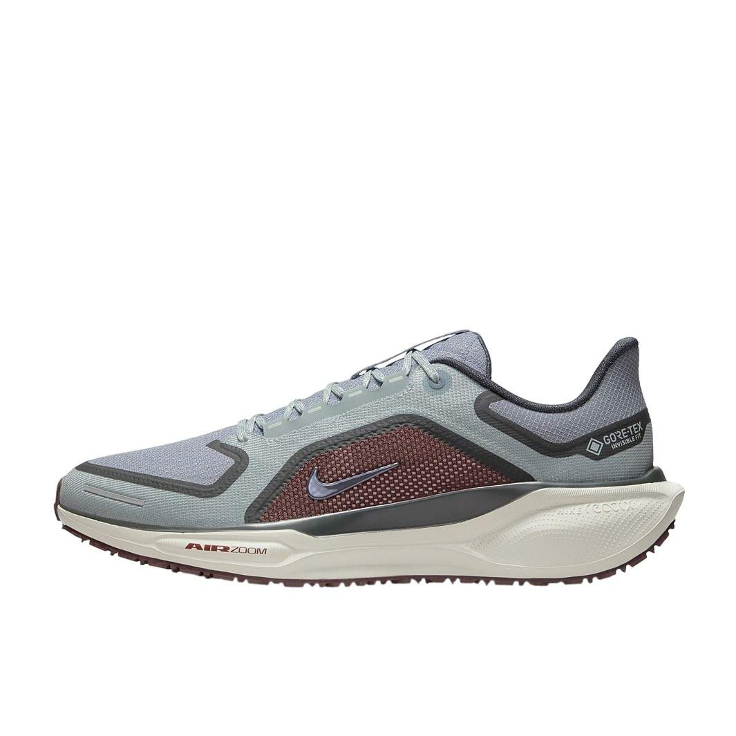 Nike Running Shoes | Nike Pegasus 41 GORE-TEX Light Pumice/Ashen Slate