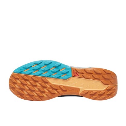 Nike Running Shoes | Nike Pegasus Trail 5 GORE-TEX Blue Beyond