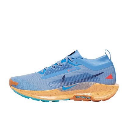 Nike Running Shoes | Nike Pegasus Trail 5 GORE-TEX Blue Beyond