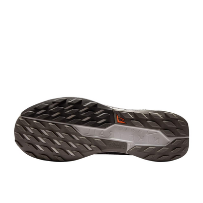 Nike Running Shoes | Nike Pegasus Trail 5 GORE-TEX Waterproof Ironstone/College Grey