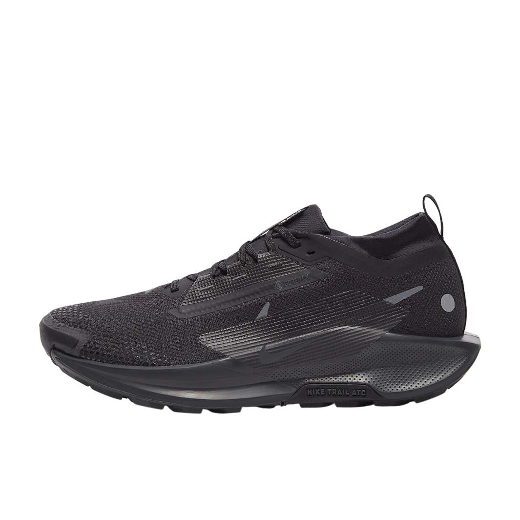 Nike Running Shoes | Nike Pegasus Trail 5 GORE-TEX Black